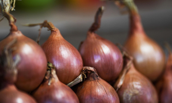 Гениальный трюк с луком: почему опытные хозяйки натирают им все столовые приборы